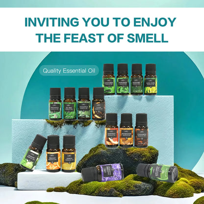 16x10ml Essential Oils Set for Diffuser Aromatherapy Candle Making Perfume Home Fragrance Humidifier Ideal Gifts